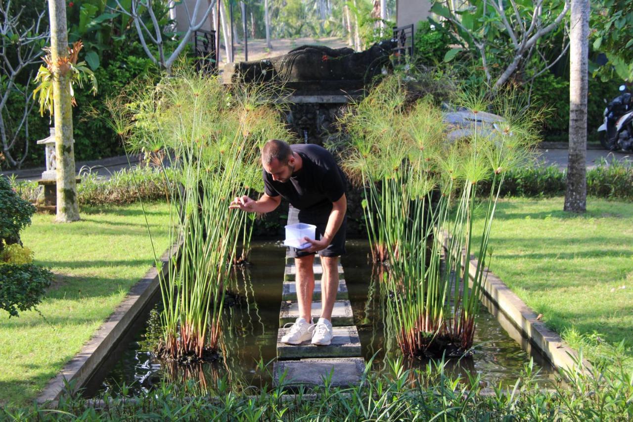 Bali Hai Island Resort Pekutatan  Ngoại thất bức ảnh